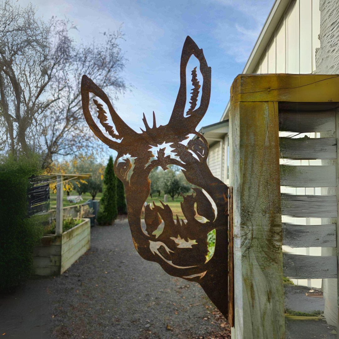 Peeking Donkey - Rusty Deer