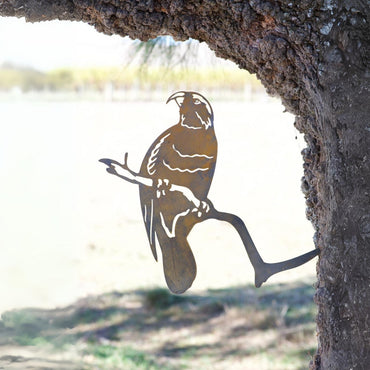 Kaka - Rusty Deer