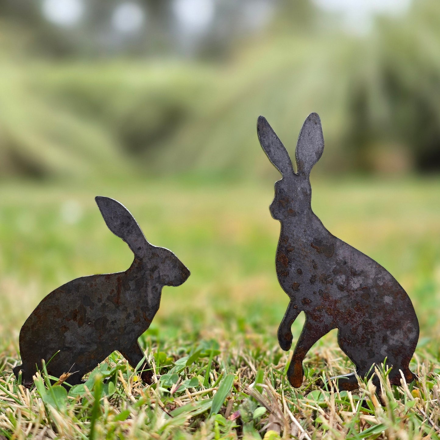 Mini Hares - Rusty Deer