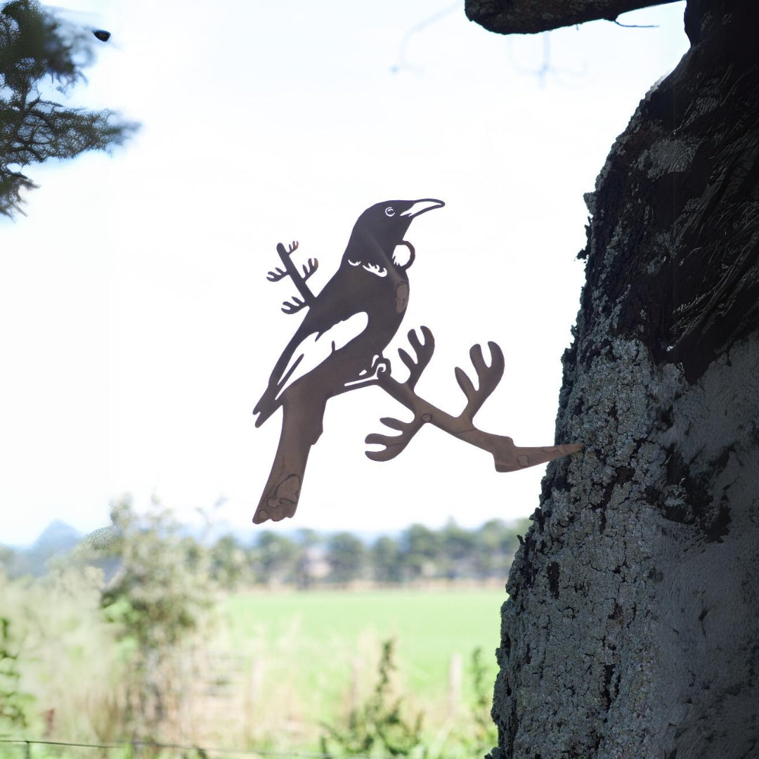 Tui - Rusty Deer