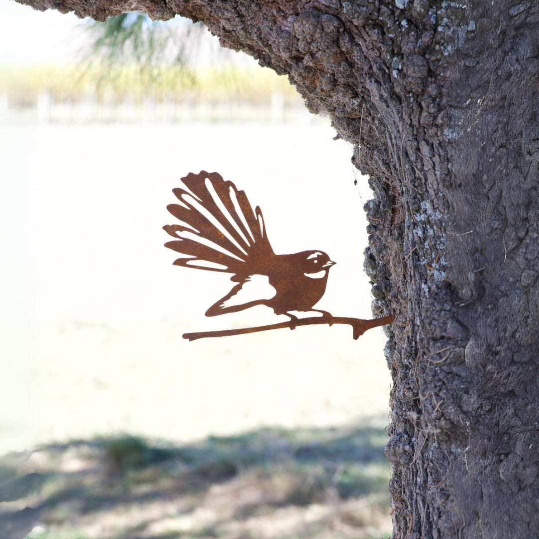 Fantail - Rusty Deer