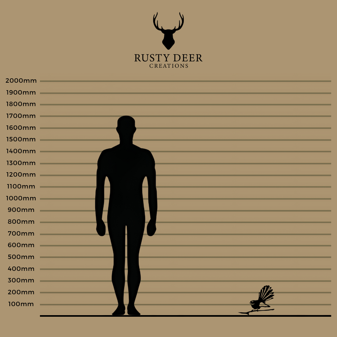 Fantail - Rusty Deer