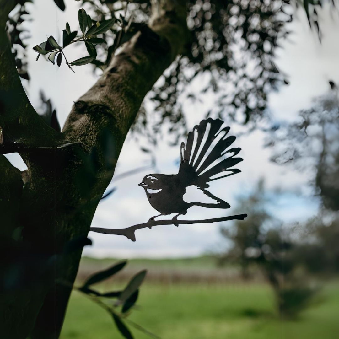 Fantail - Rusty Deer