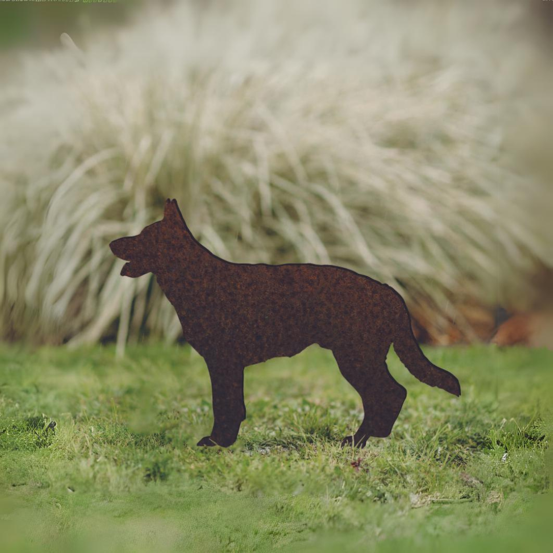 German Shepherd - Rusty Deer