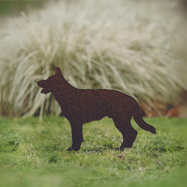 German Shepherd - Rusty Deer