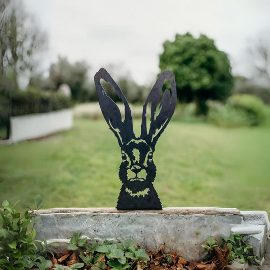 Peeking Hare - Rusty Deer