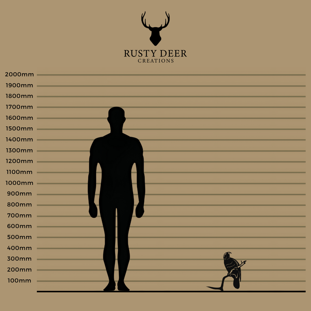 Kaka - Rusty Deer