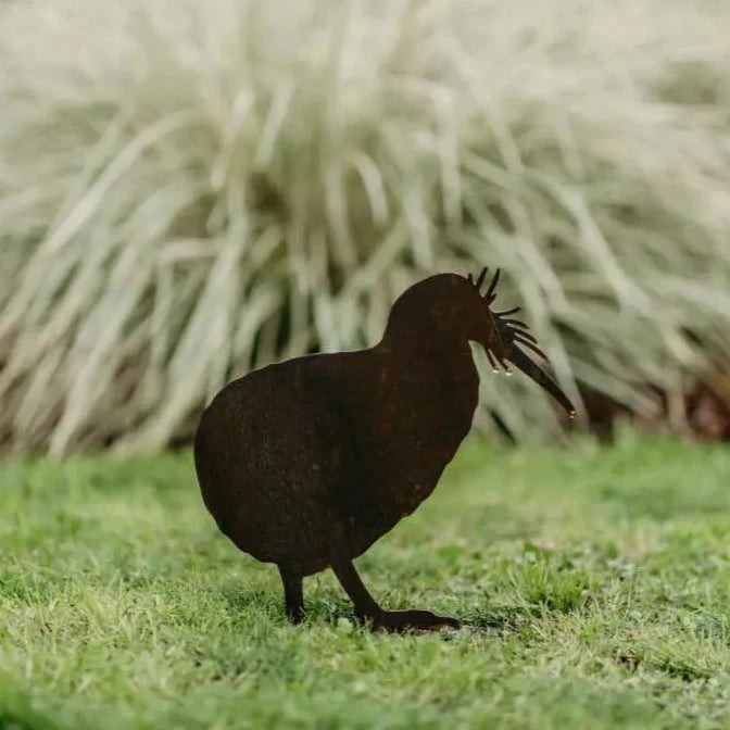 Kiwis - Rusty Deer