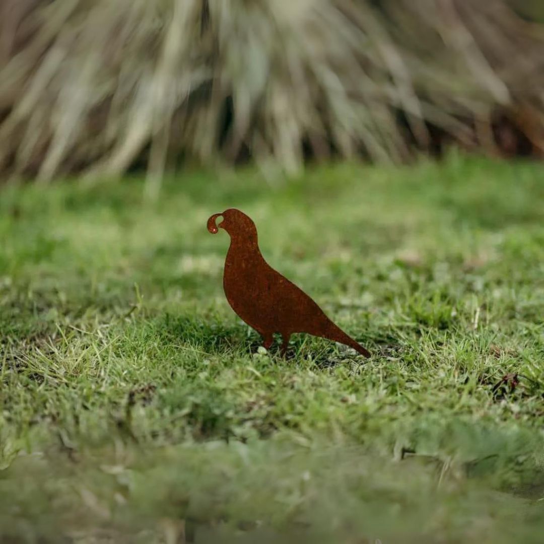 Quail