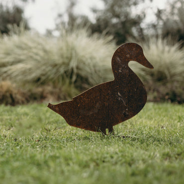 Ducks - Rusty Deer