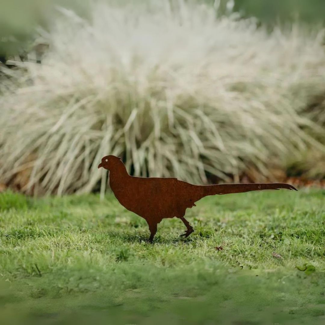 Pheasants - Rusty Deer