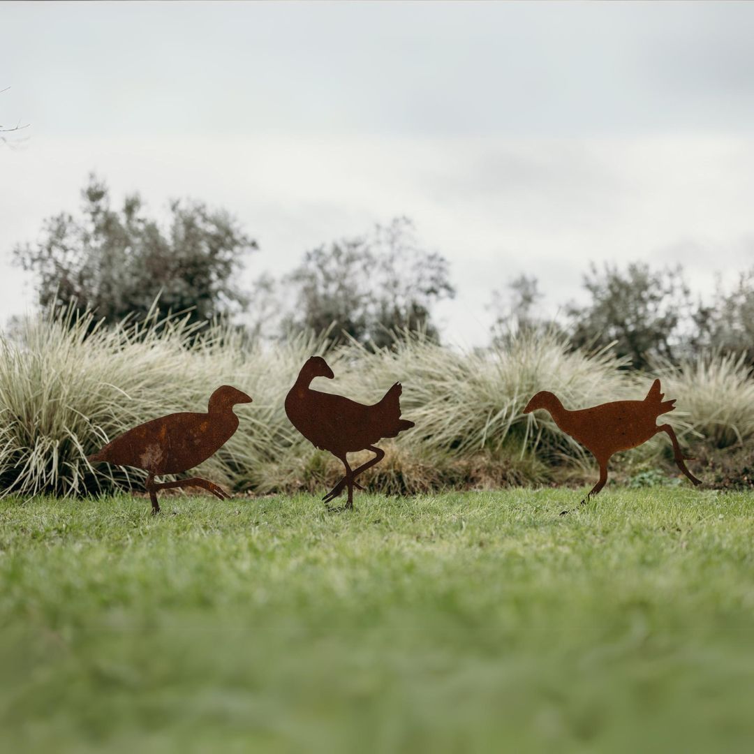 Pukekos