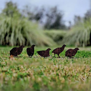 Quail