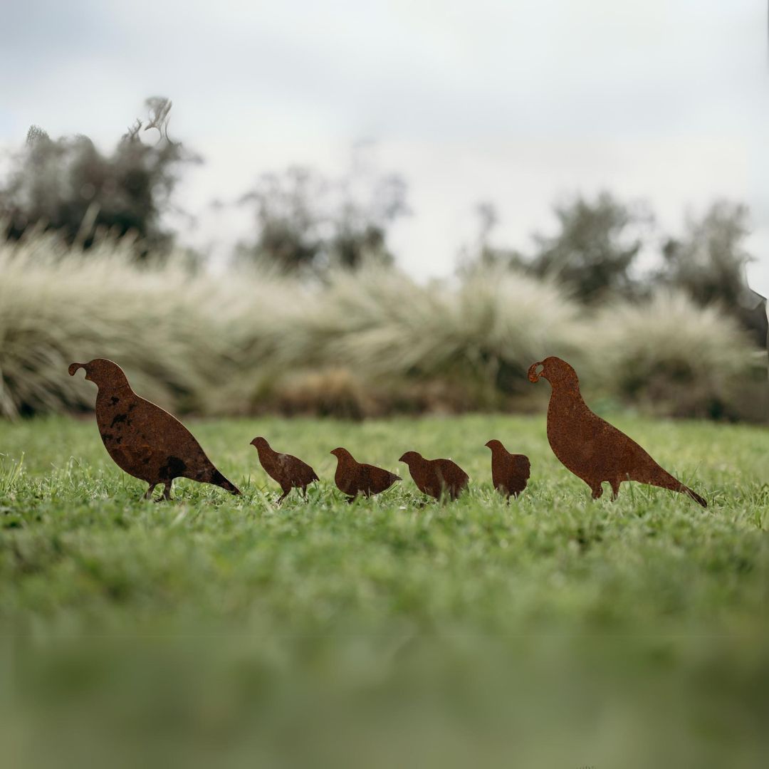 Quail - Rusty Deer