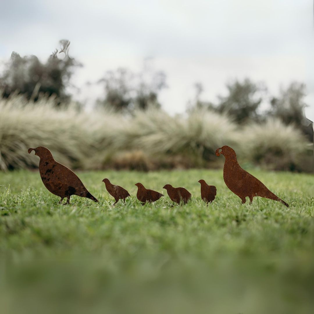 Quail