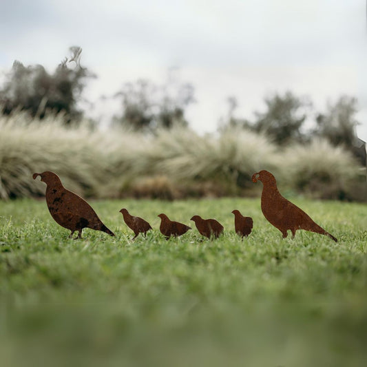 Quail - Rusty Deer