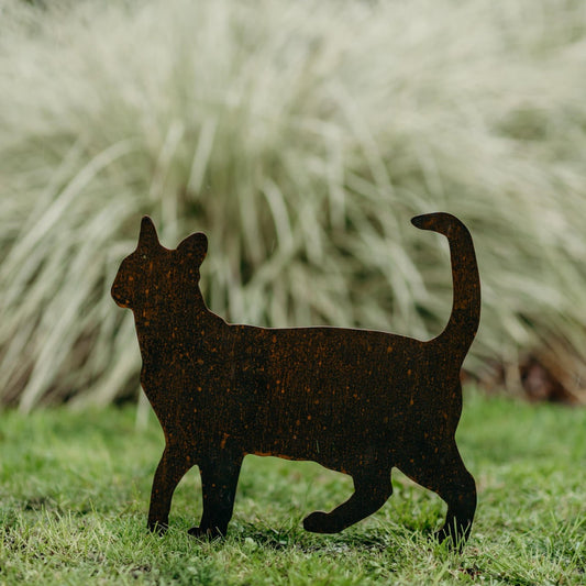 Cats - Rusty Deer