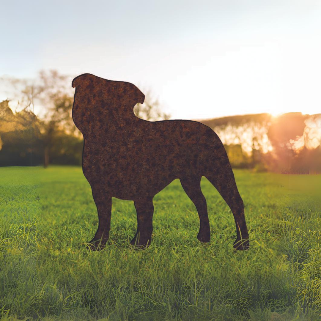Staffordshire Bull Terrier