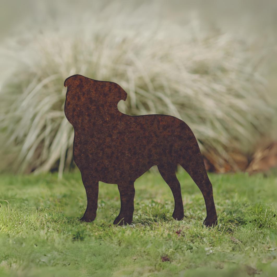 Staffordshire Bull Terrier