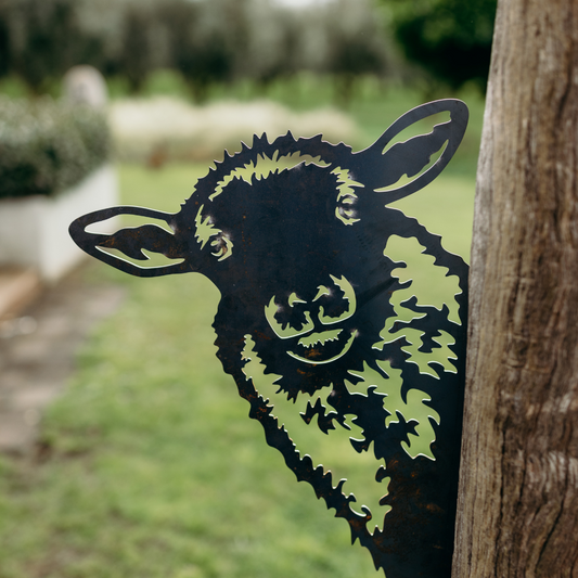 Peeking Sheep - Rusty Deer