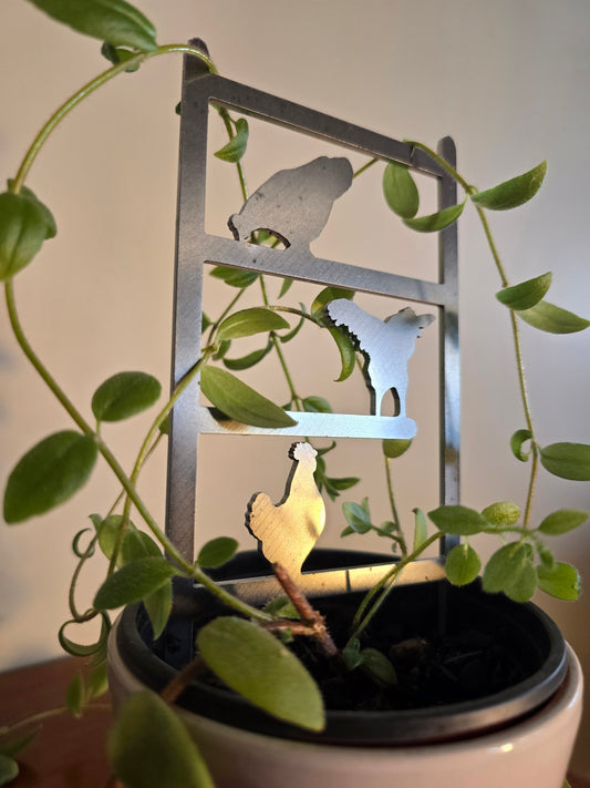 Chicken Plant Climber