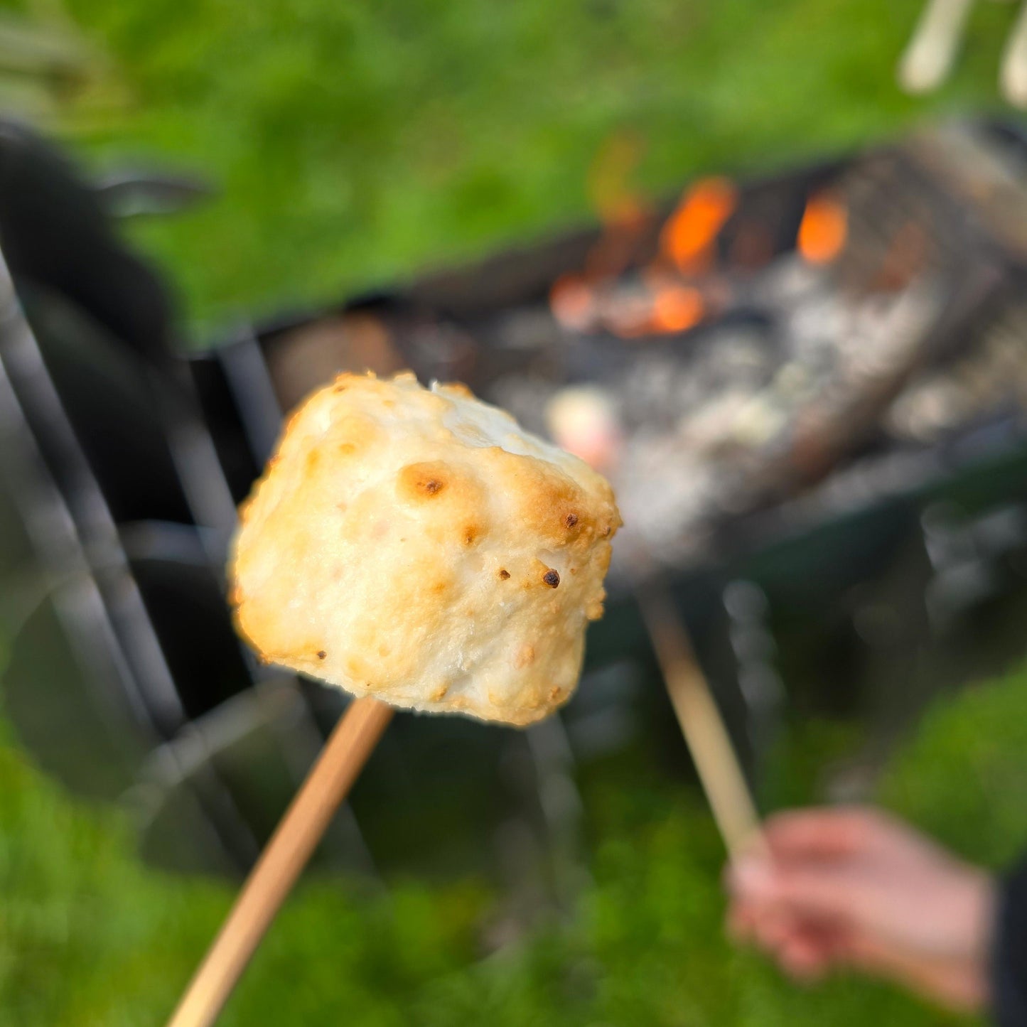 Sheep BBQ/Firebox