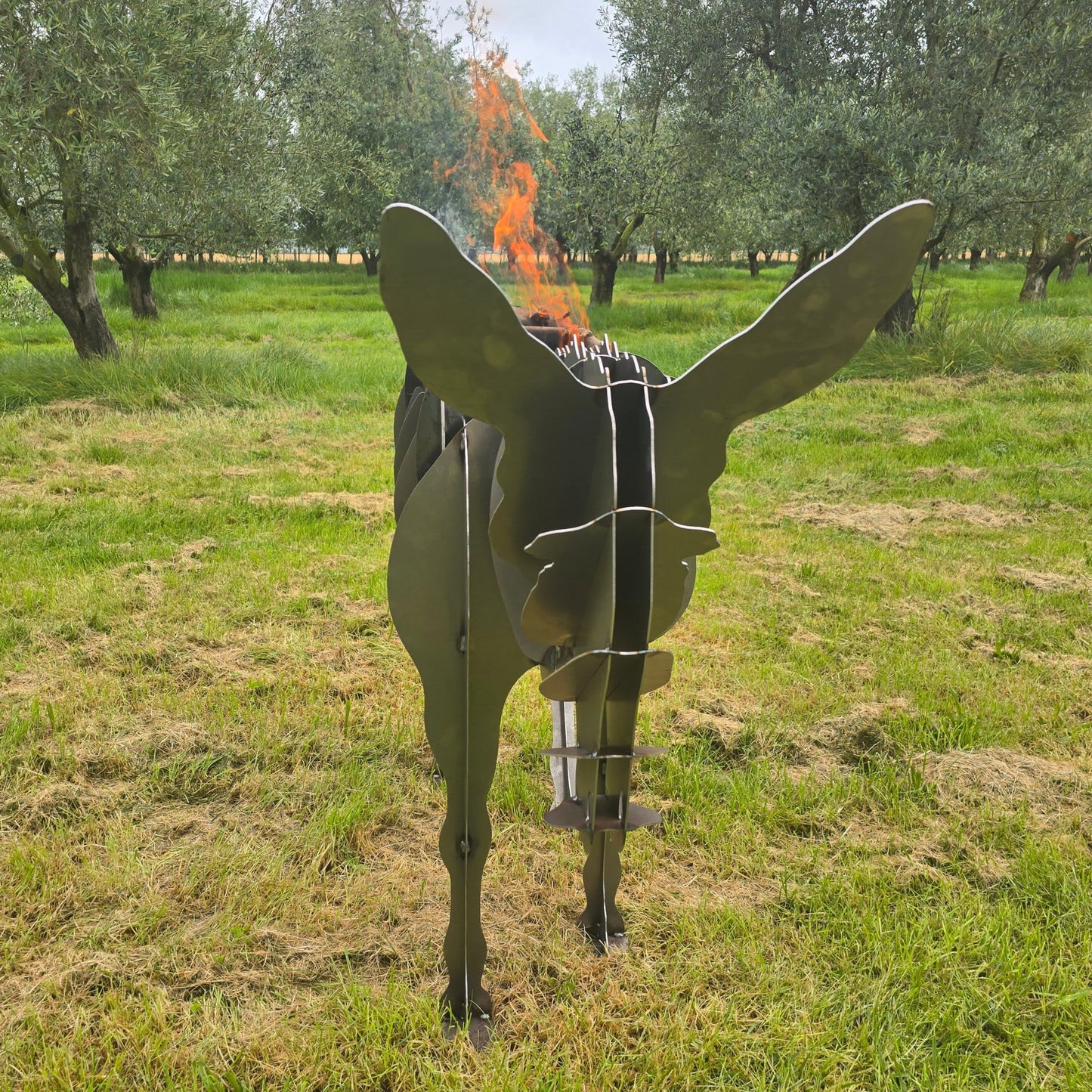 Donkey BBQ/Firebox