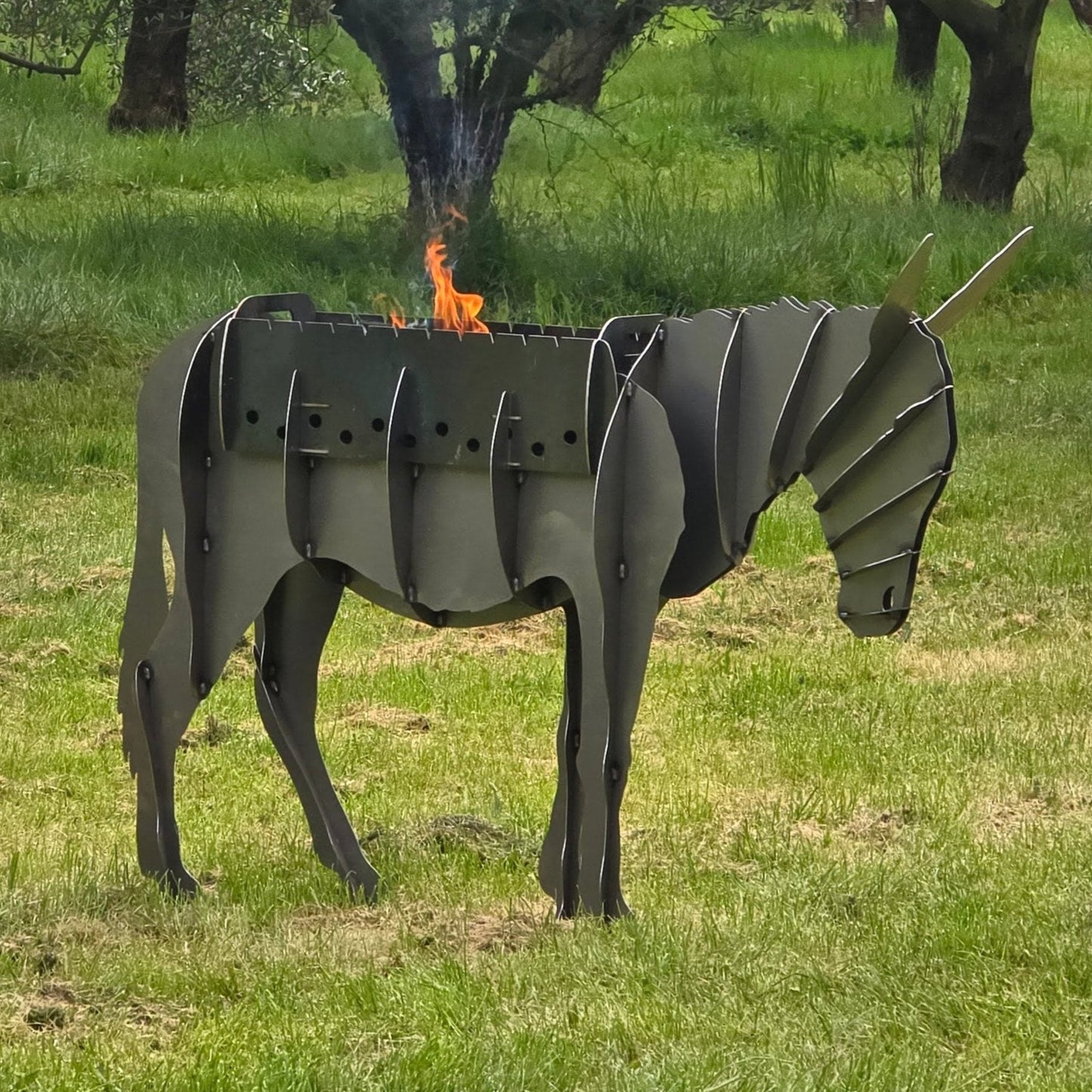 Donkey BBQ/Firebox