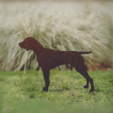 German Shorthaired Pointer