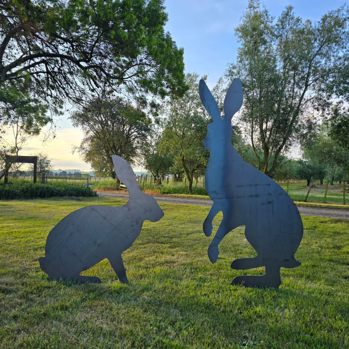 Giant Hares