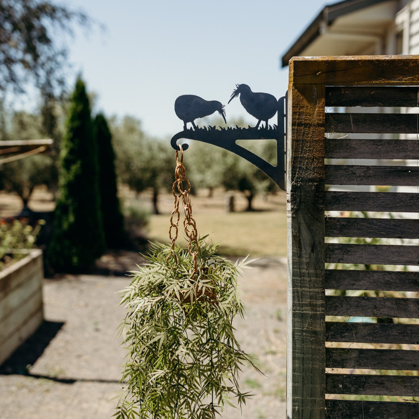 Kiwi Plant Hanger