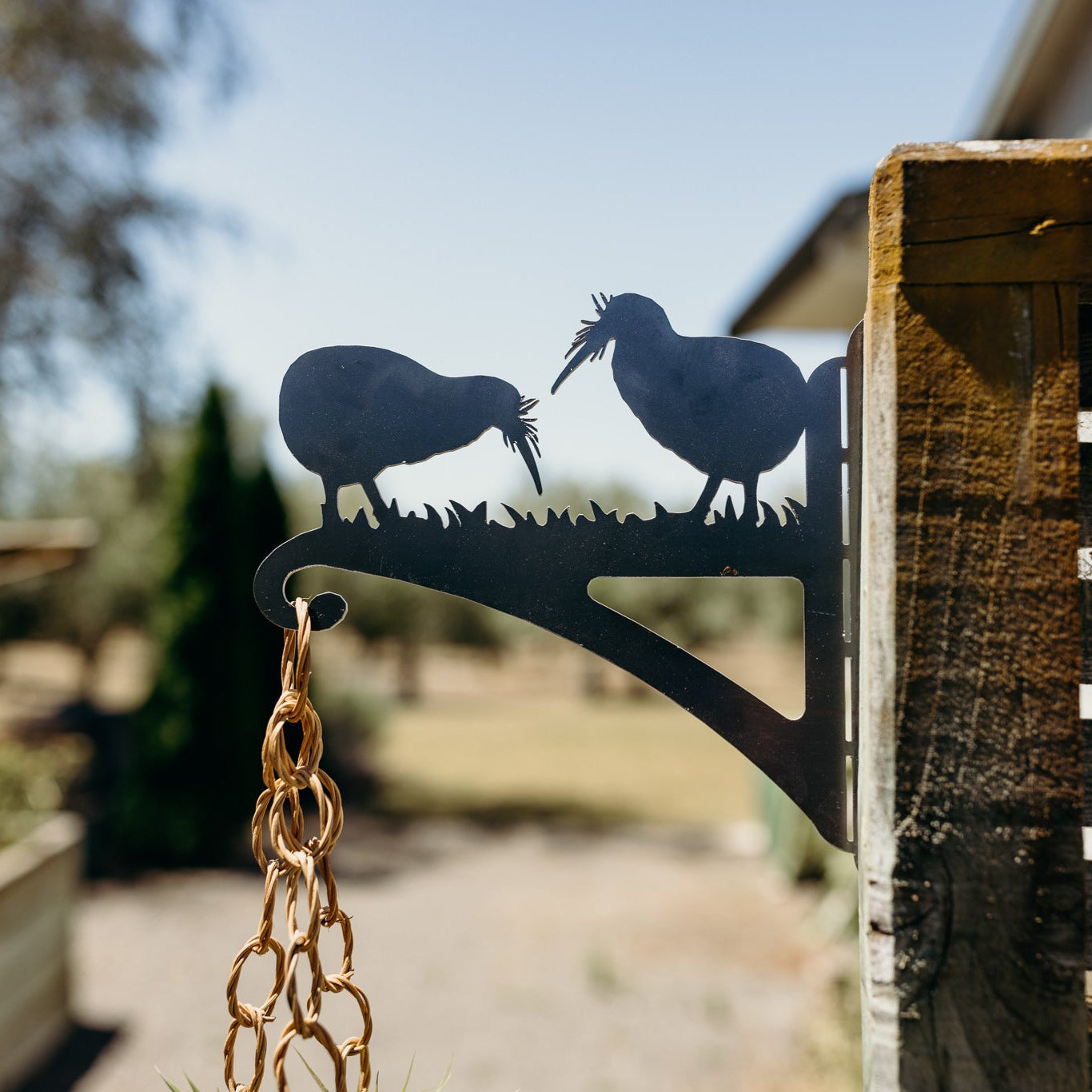 Kiwi Plant Hanger