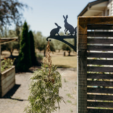 Hare Plant Hanger