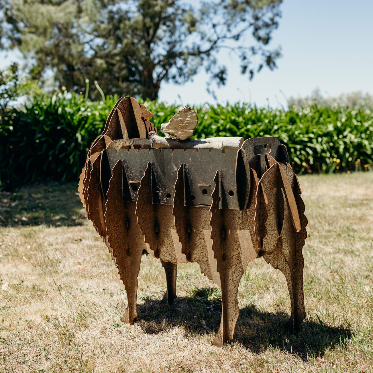 Sheep BBQ/Firebox