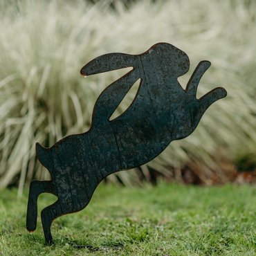 Boxing hares