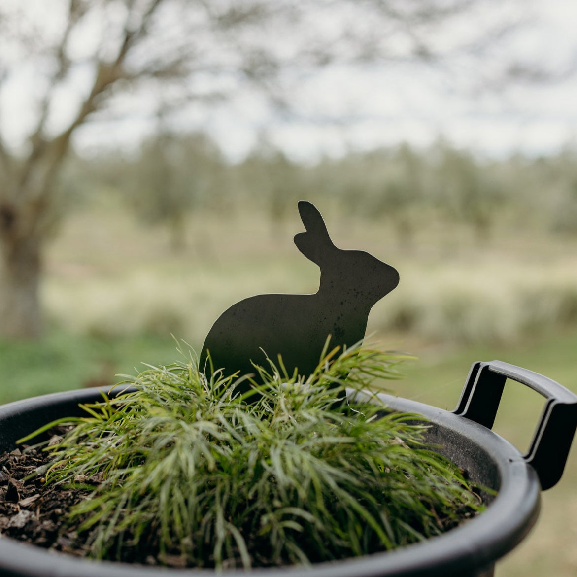 Black rabbit silhouette in a pot with a blurred outdoor background
