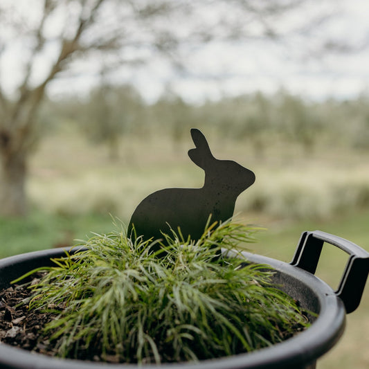 Black rabbit silhouette in a pot with a blurred outdoor background