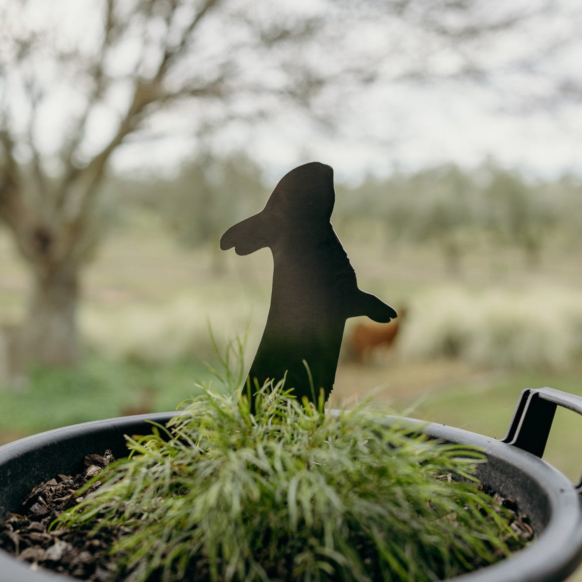 Potted plant with a silhouette of a rabbit standing in a garden setting